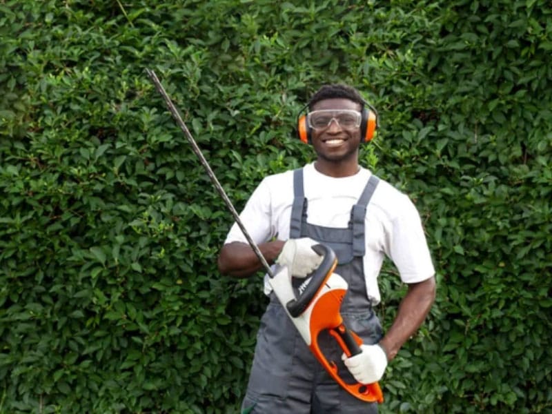 A Commercial landscaper trimming hedges